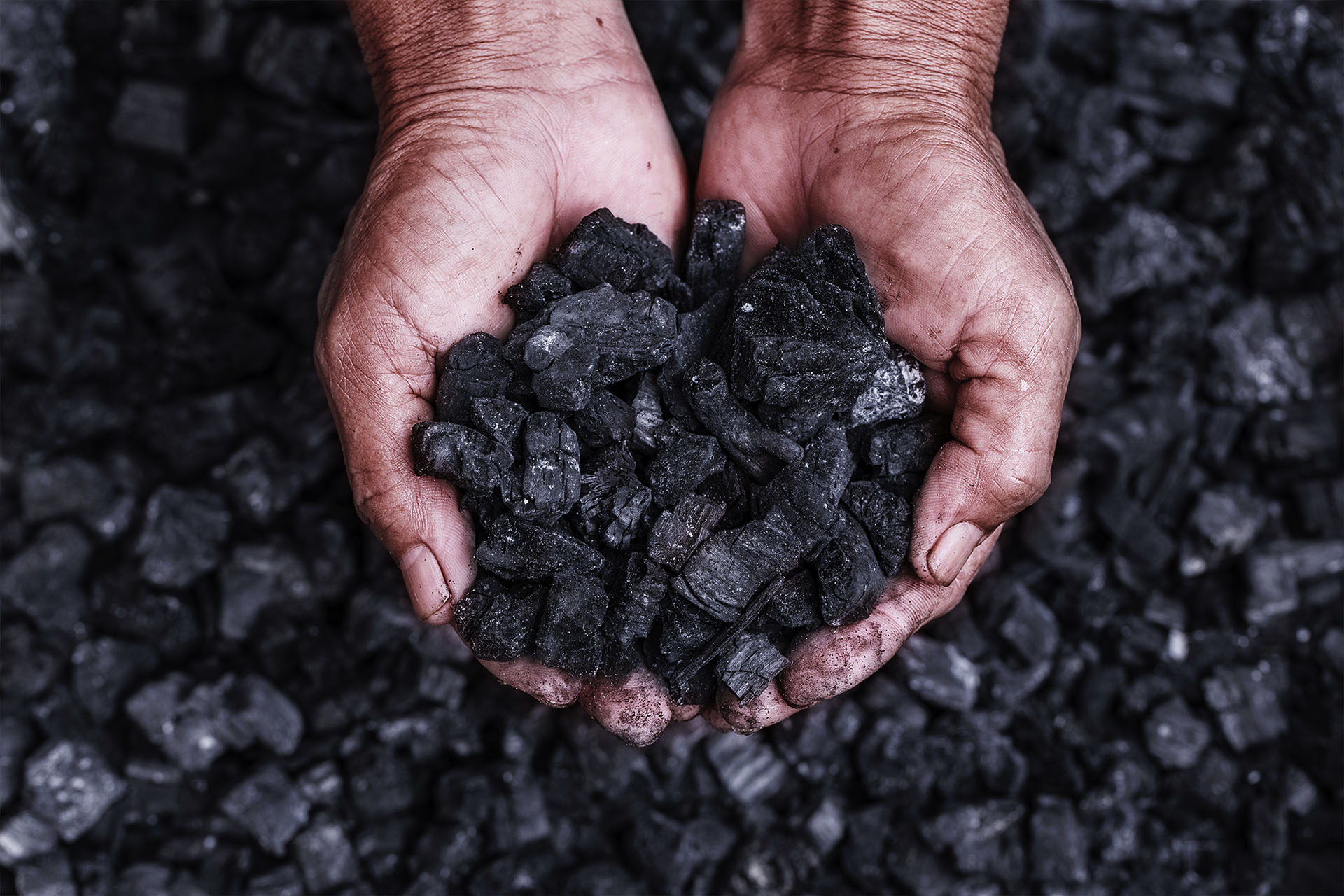 COAL-1