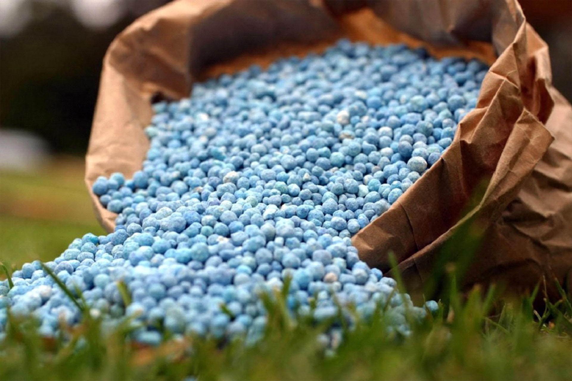 NON-UREA NITROGEN FERTILIZERS-2